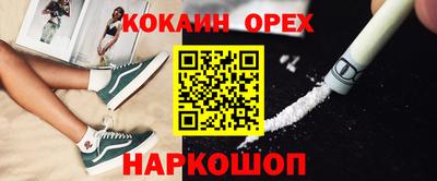 гашик Кимры