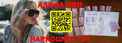 СК Кингисепп