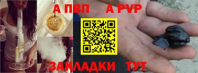 СК Кингисепп