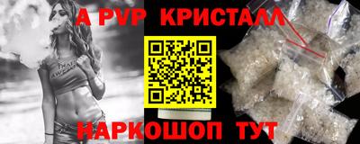 СК Кингисепп
