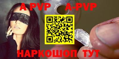 СК Кингисепп
