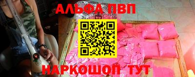 СК Кингисепп