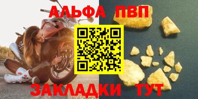 СК Кингисепп