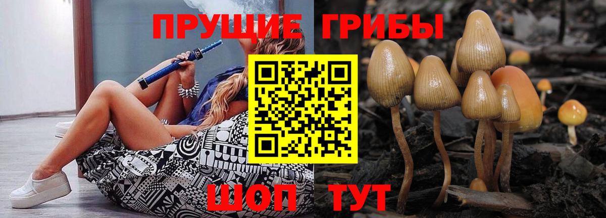 Псилоцибиновые грибы Cubensis  Вход с VPN  Куйбышев 